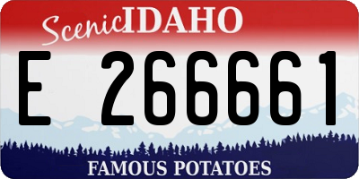 ID license plate E266661