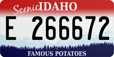 ID license plate E266672