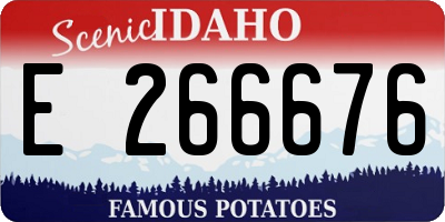 ID license plate E266676