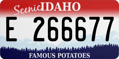 ID license plate E266677