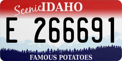 ID license plate E266691