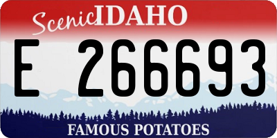 ID license plate E266693