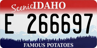 ID license plate E266697
