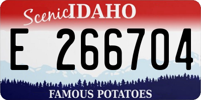 ID license plate E266704