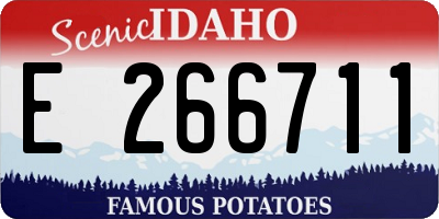 ID license plate E266711