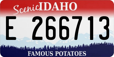 ID license plate E266713