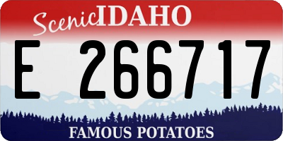 ID license plate E266717