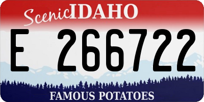 ID license plate E266722
