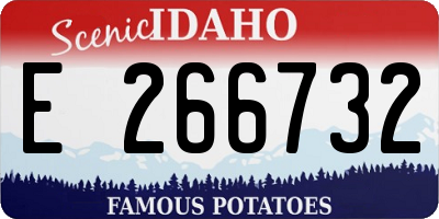 ID license plate E266732