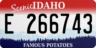 ID license plate E266743