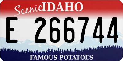 ID license plate E266744