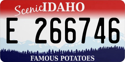 ID license plate E266746