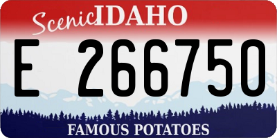 ID license plate E266750