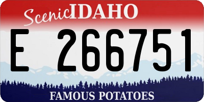 ID license plate E266751