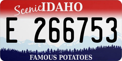 ID license plate E266753