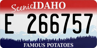 ID license plate E266757