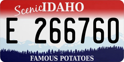 ID license plate E266760