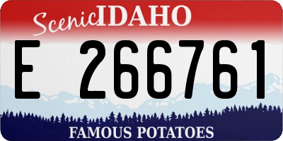 ID license plate E266761