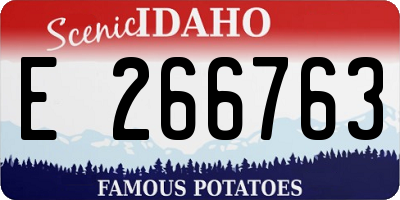 ID license plate E266763