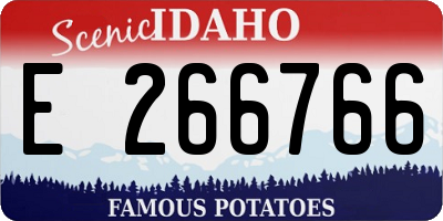 ID license plate E266766