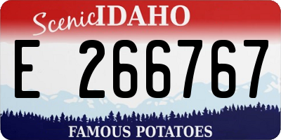 ID license plate E266767