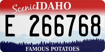 ID license plate E266768