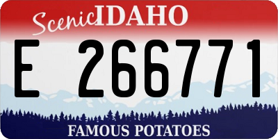 ID license plate E266771