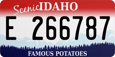 ID license plate E266787