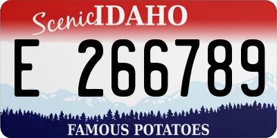ID license plate E266789