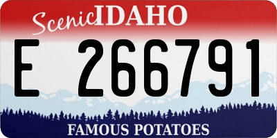 ID license plate E266791