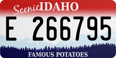 ID license plate E266795