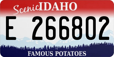 ID license plate E266802