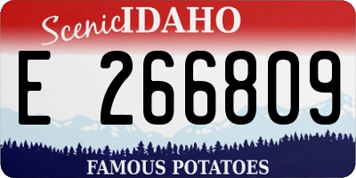 ID license plate E266809