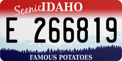 ID license plate E266819