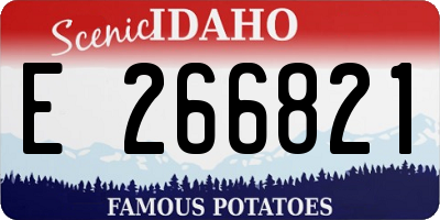 ID license plate E266821