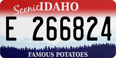 ID license plate E266824
