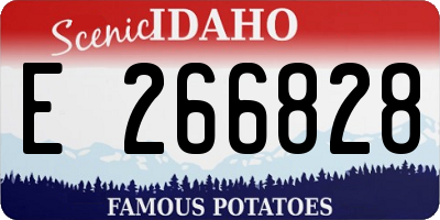 ID license plate E266828