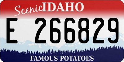 ID license plate E266829