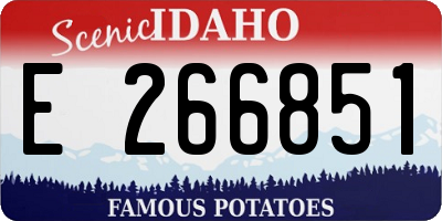 ID license plate E266851