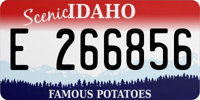 ID license plate E266856
