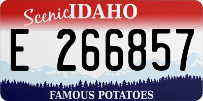 ID license plate E266857