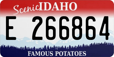 ID license plate E266864