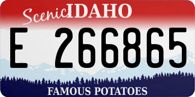 ID license plate E266865
