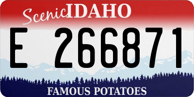 ID license plate E266871