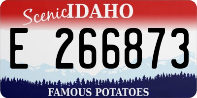 ID license plate E266873