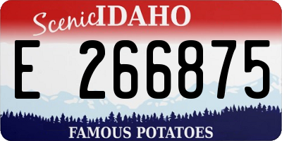 ID license plate E266875