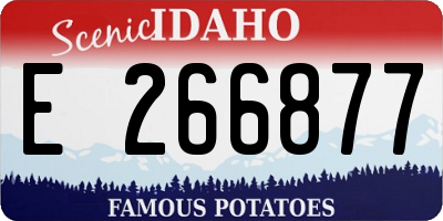 ID license plate E266877