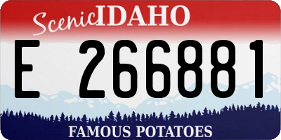 ID license plate E266881