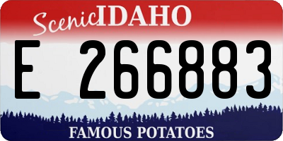 ID license plate E266883