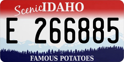 ID license plate E266885